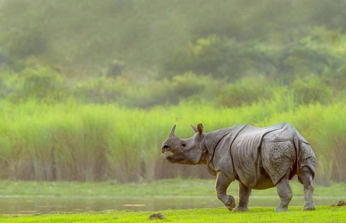 1467721013_1ka 2.jpg